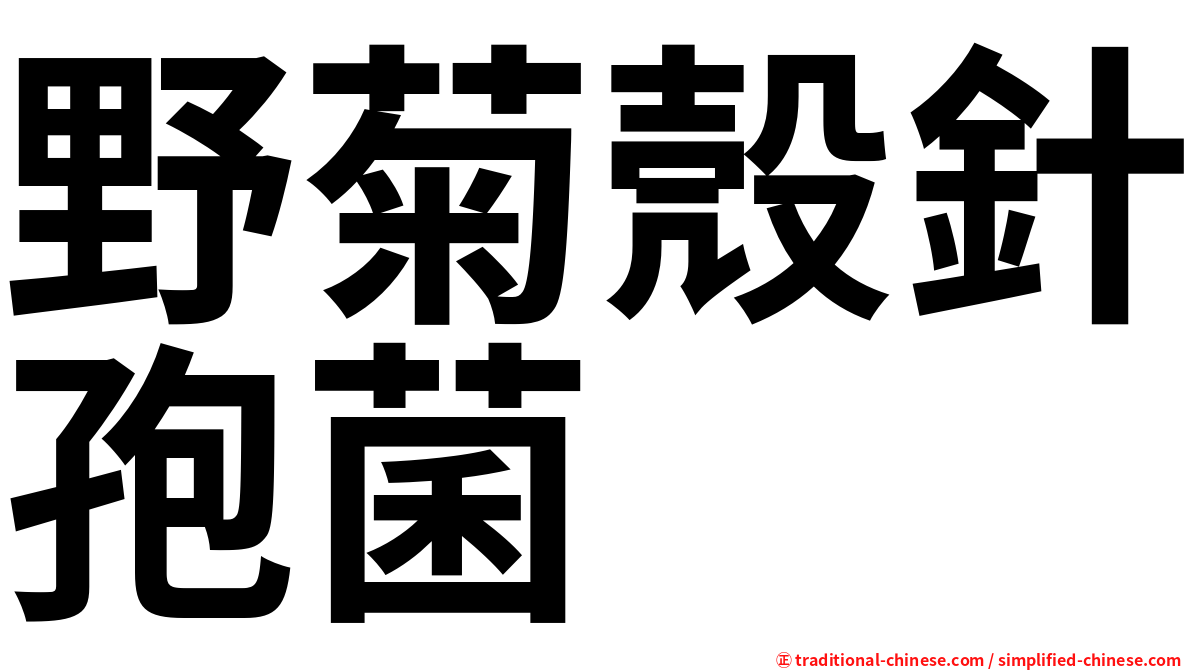 野菊殼針孢菌
