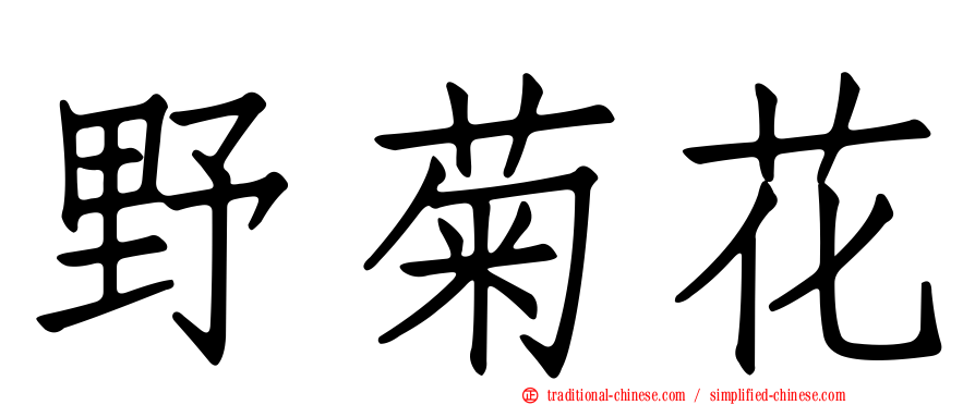 野菊花