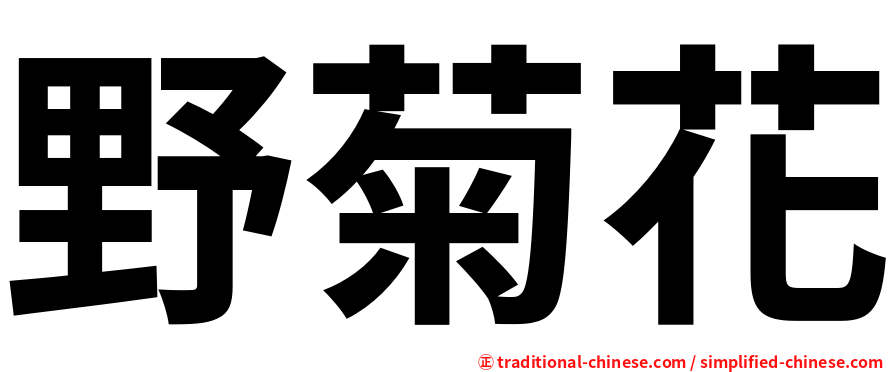 野菊花