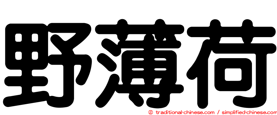 野薄荷