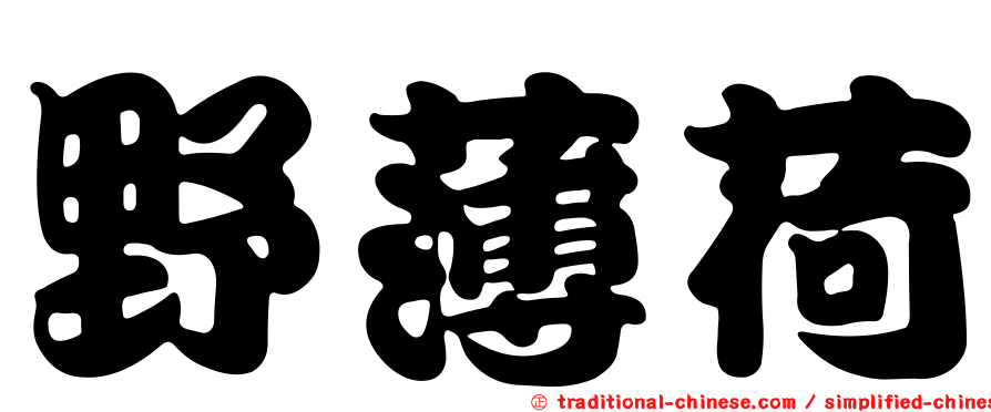 野薄荷
