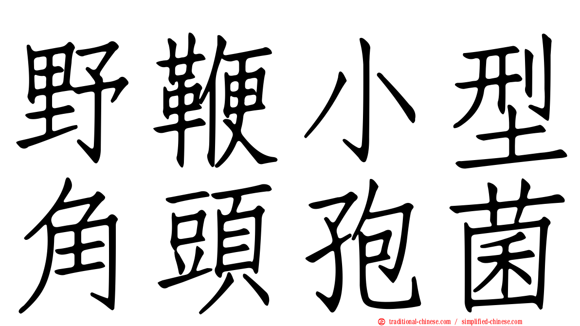 野鞭小型角頭孢菌