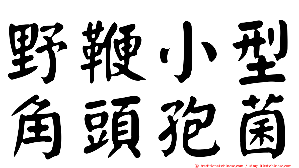 野鞭小型角頭孢菌