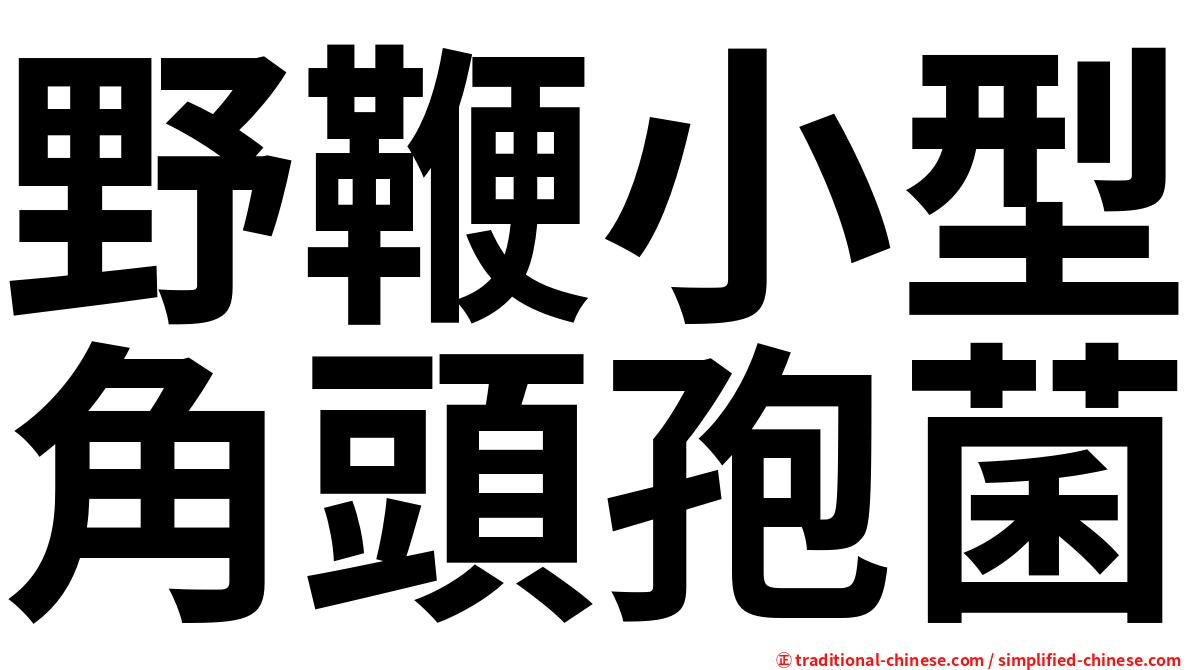 野鞭小型角頭孢菌