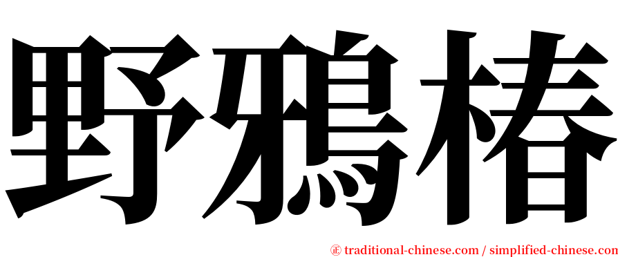 野鴉椿 serif font