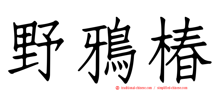 野鴉椿