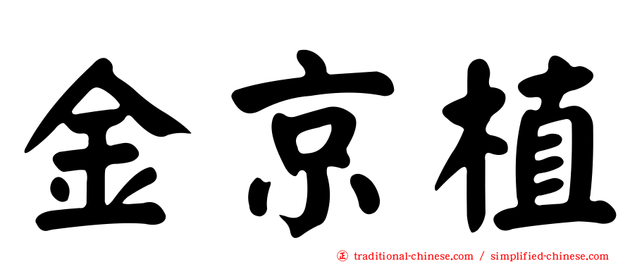 金京植