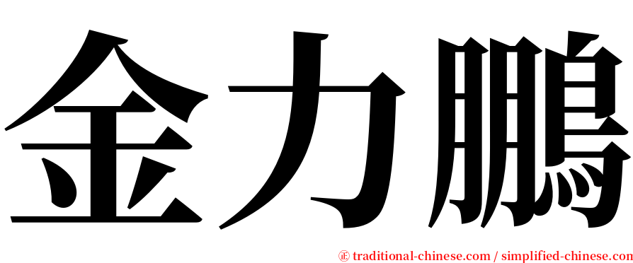 金力鵬 serif font