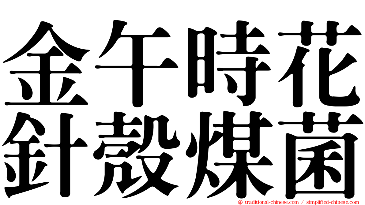 金午時花針殼煤菌