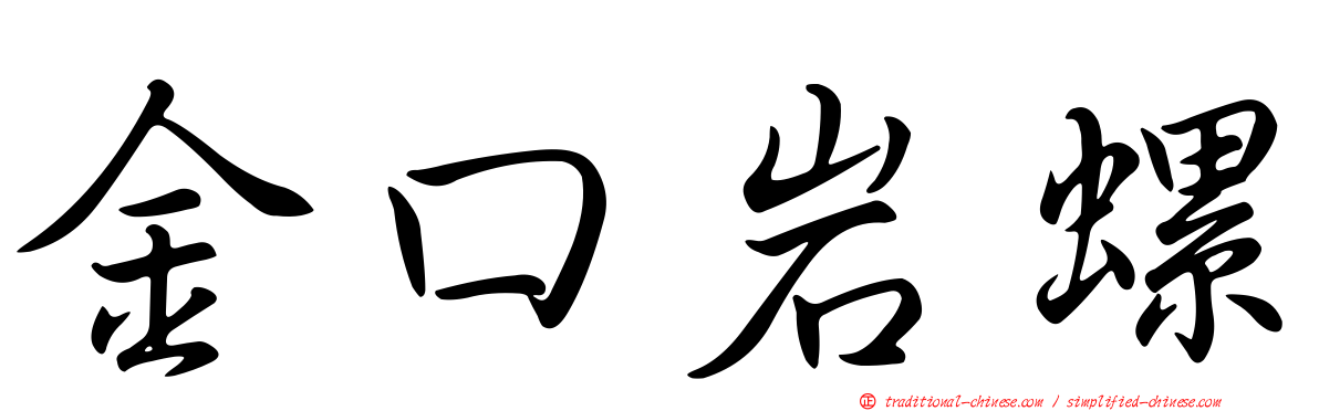 金口岩螺