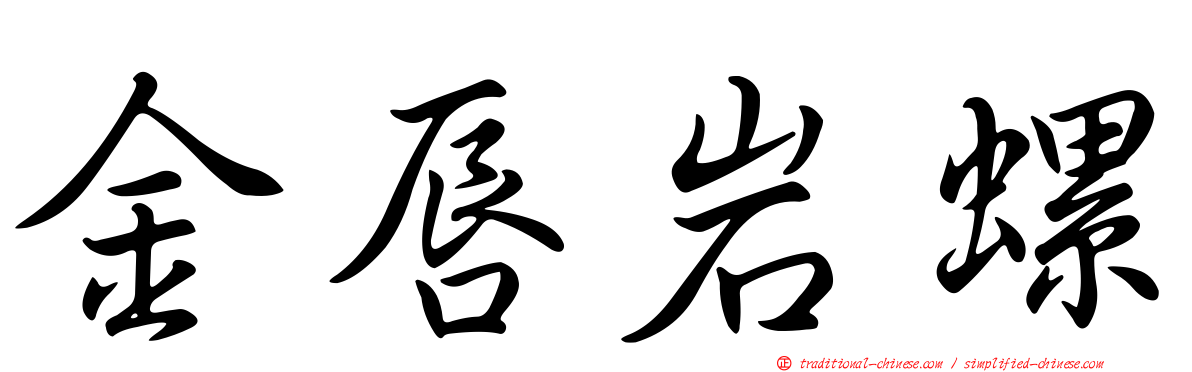 金唇岩螺