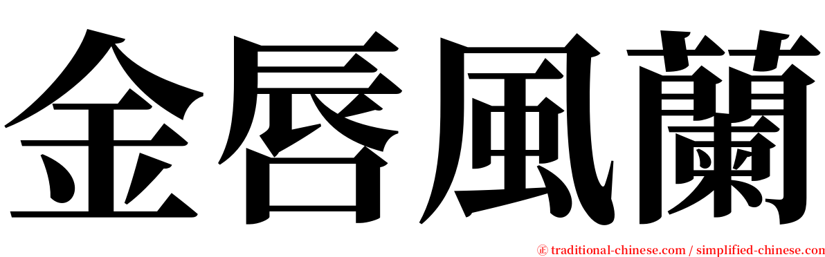 金唇風蘭 serif font