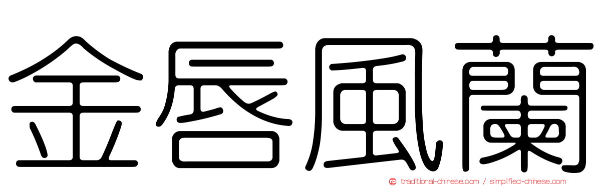 金唇風蘭