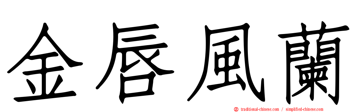金唇風蘭