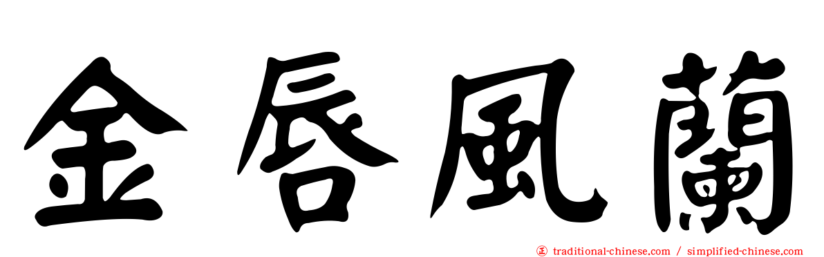 金唇風蘭