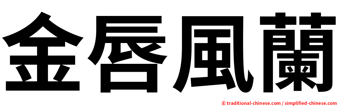 金唇風蘭