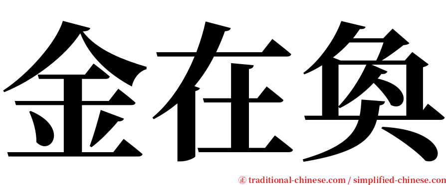 金在奐 serif font