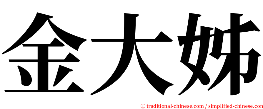 金大姊 serif font