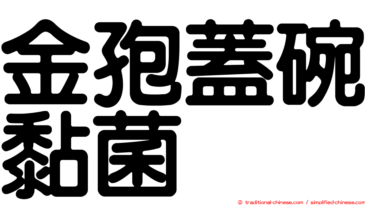 金孢蓋碗黏菌