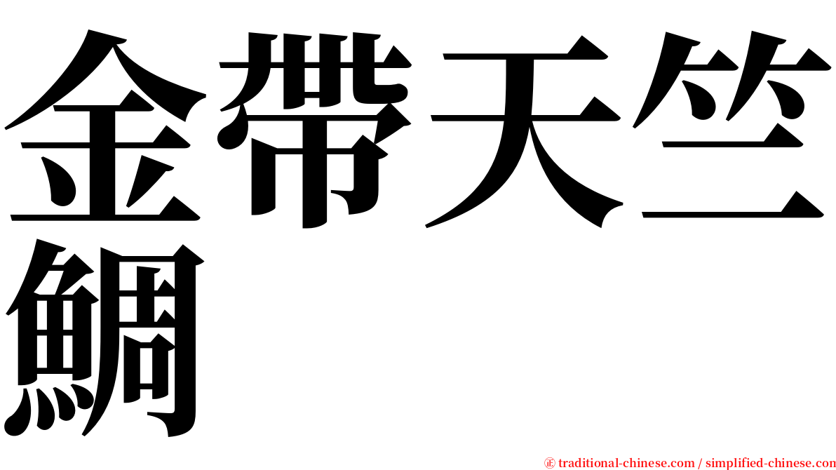 金帶天竺鯛 serif font