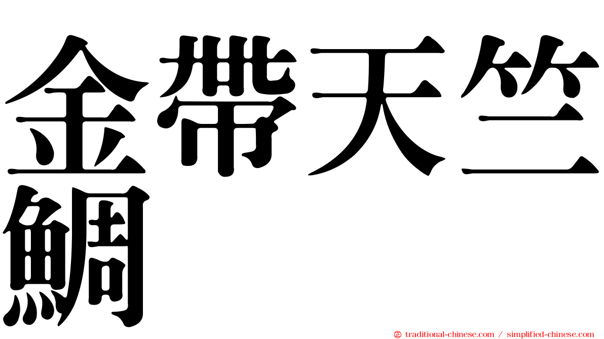金帶天竺鯛