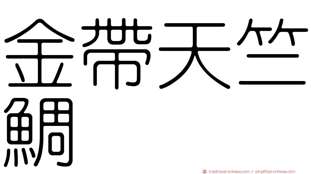 金帶天竺鯛