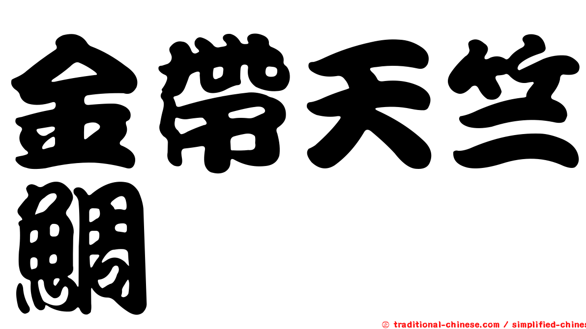 金帶天竺鯛