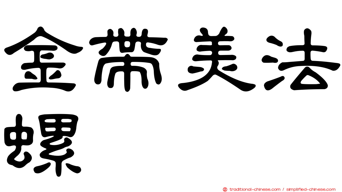 金帶美法螺