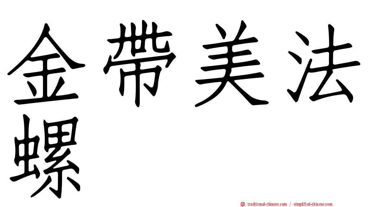 金帶美法螺