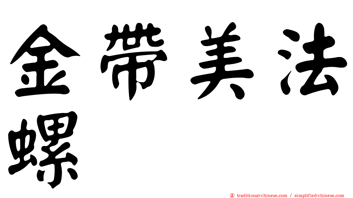 金帶美法螺