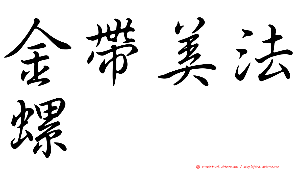 金帶美法螺