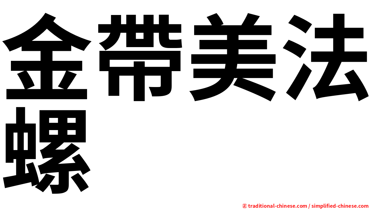 金帶美法螺