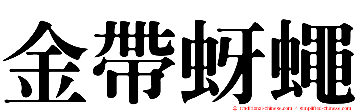 金帶蚜蠅