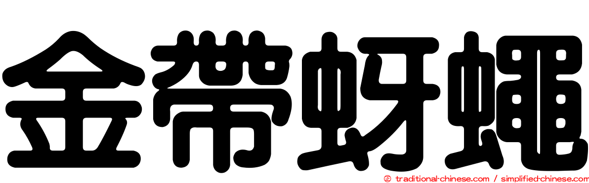 金帶蚜蠅