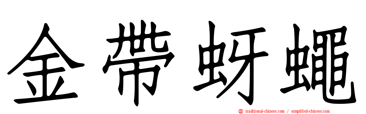 金帶蚜蠅