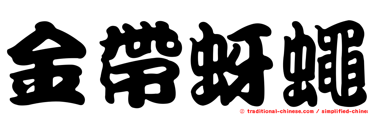 金帶蚜蠅
