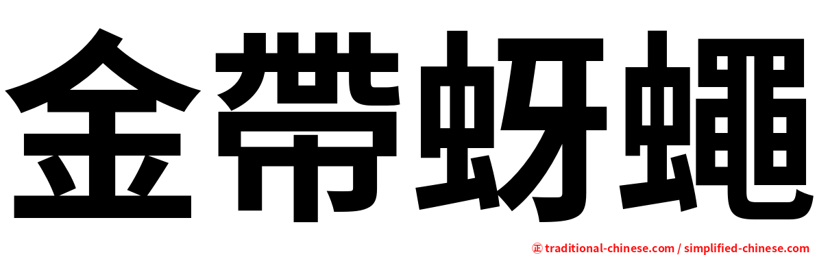 金帶蚜蠅