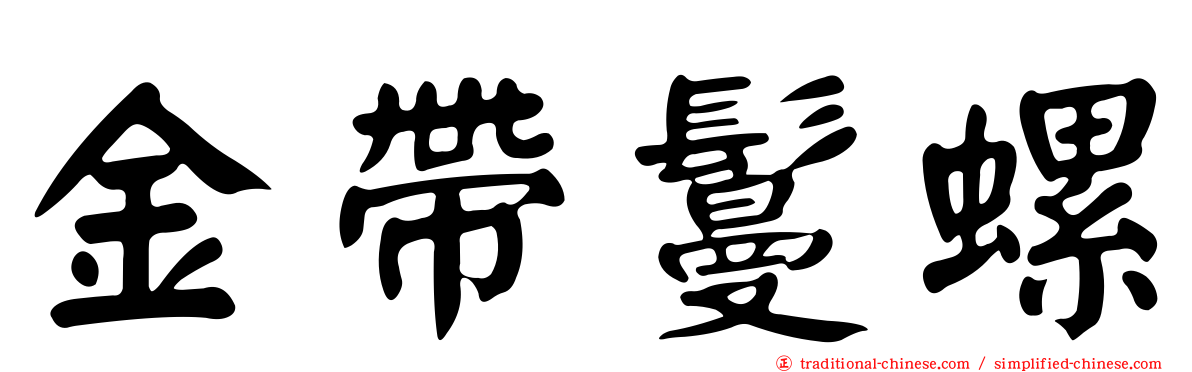 金帶鬘螺