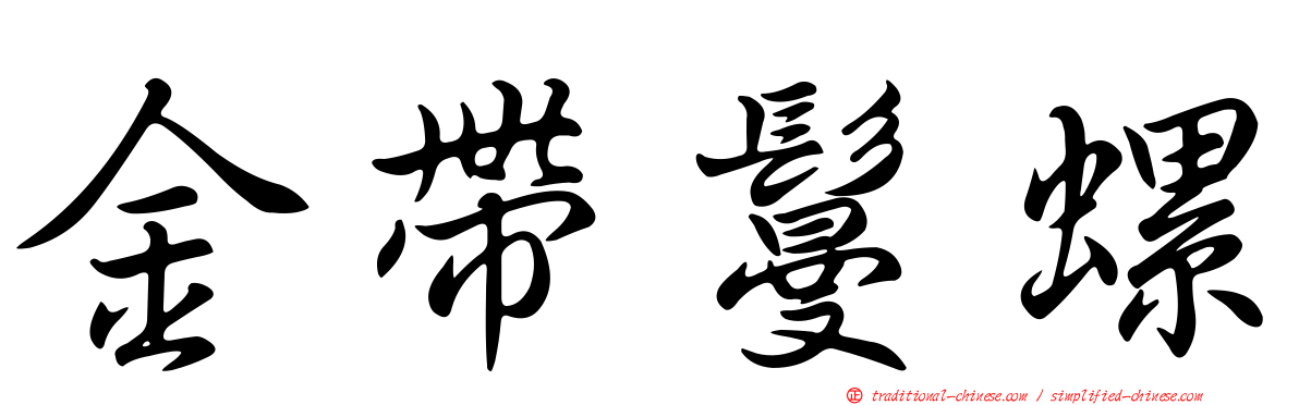 金帶鬘螺