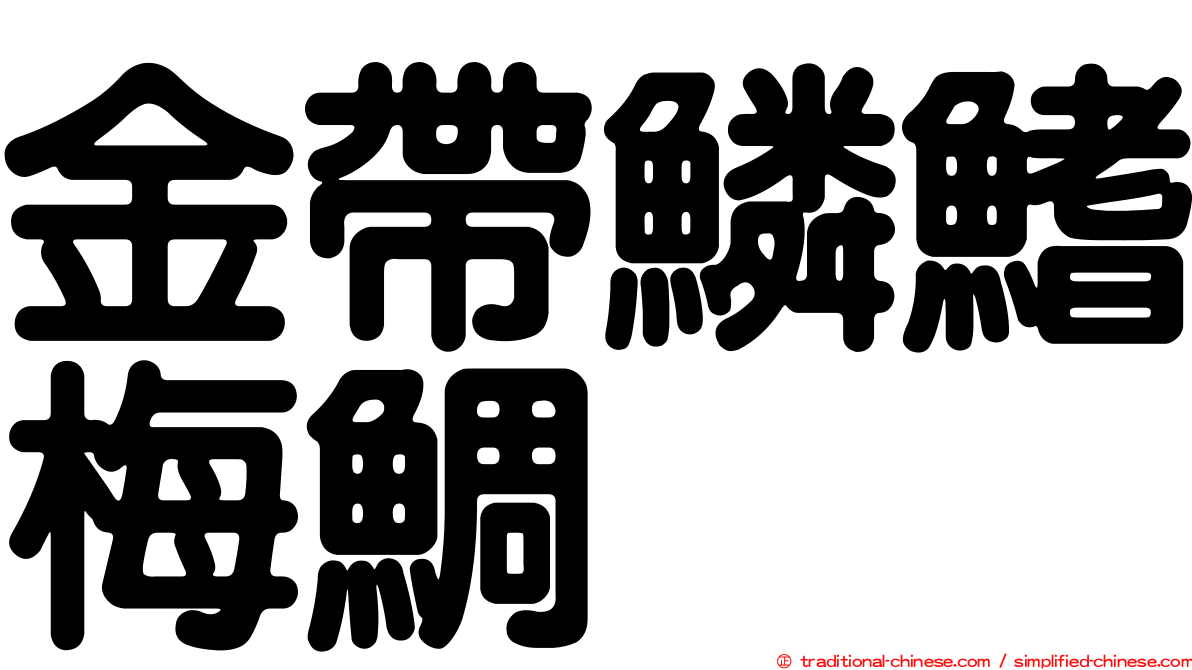 金帶鱗鰭梅鯛