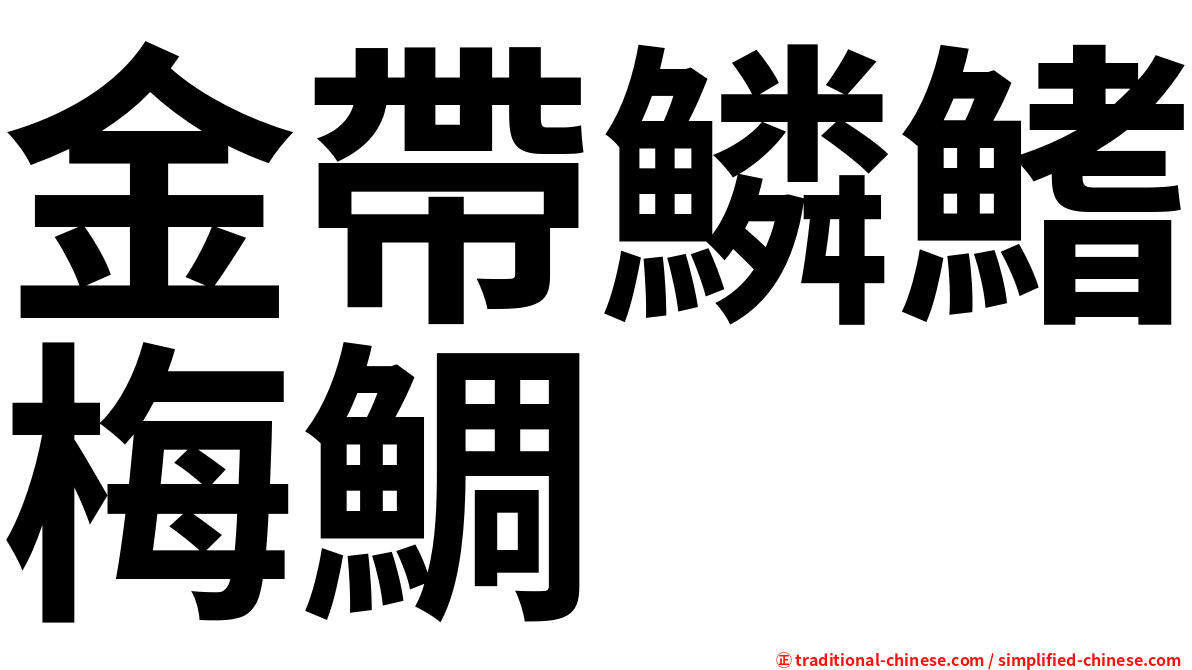 金帶鱗鰭梅鯛