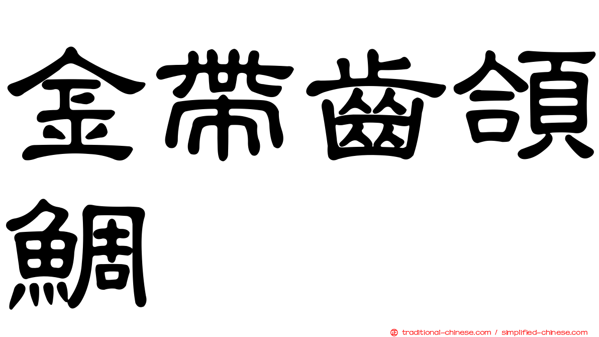 金帶齒頜鯛