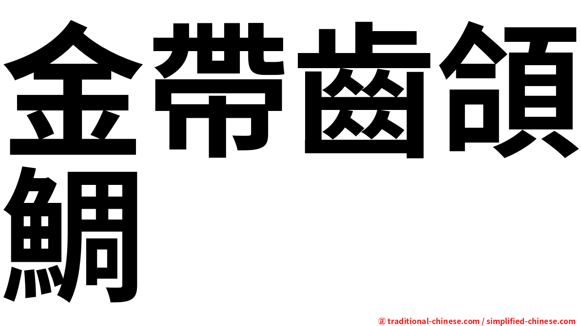 金帶齒頜鯛