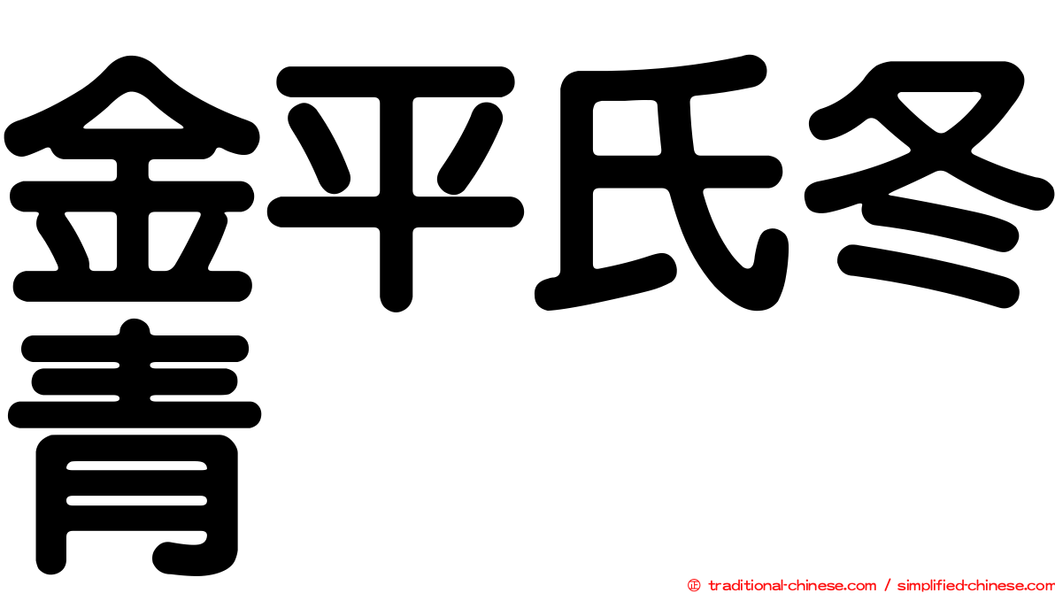 金平氏冬青