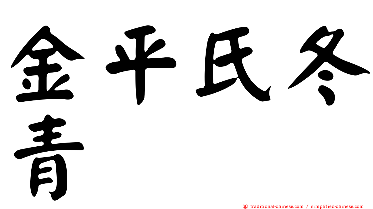 金平氏冬青