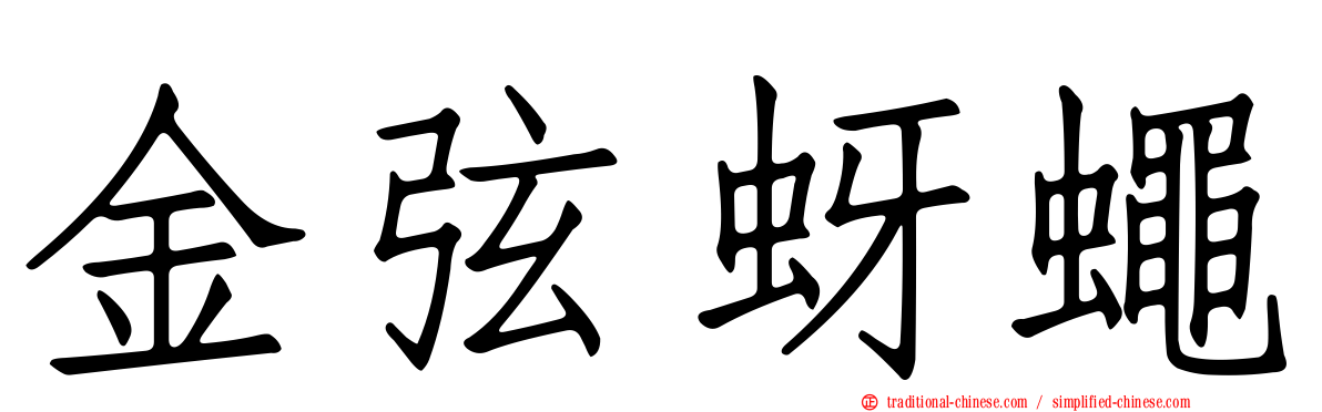 金弦蚜蠅