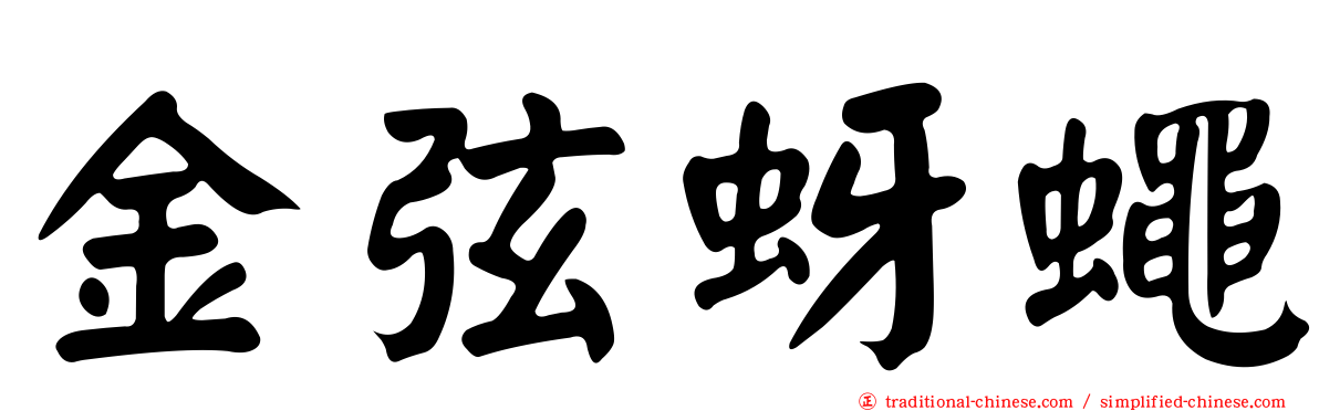 金弦蚜蠅