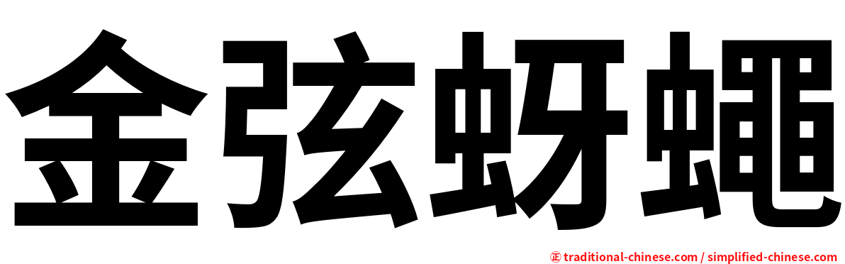 金弦蚜蠅