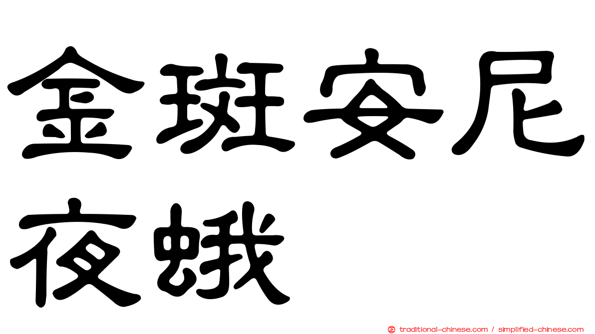 金斑安尼夜蛾