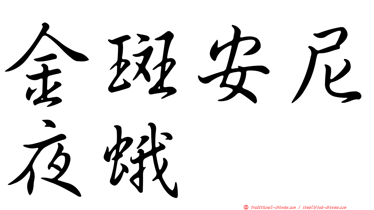 金斑安尼夜蛾